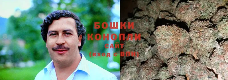 купить   Павловск  Бошки Шишки LSD WEED 